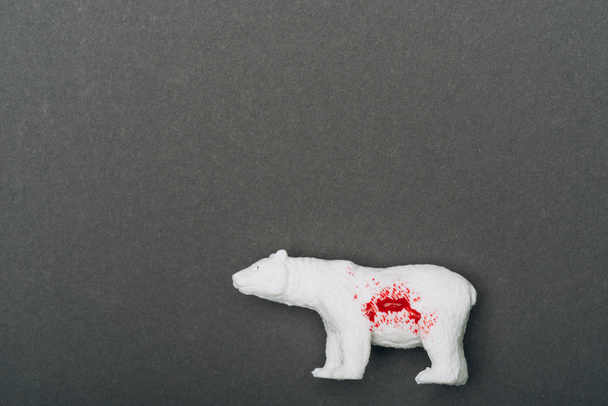 Top view of white toy bear with blood on grey background, killing animals concept - Fotografie, Obrázek