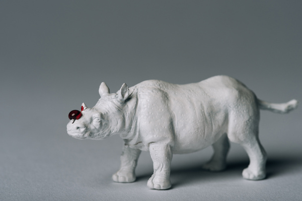 weißes Spielzeug-Nashorn mit Blut auf grauem Hintergrund, Jagd nach Horn-Konzept - Foto, Bild