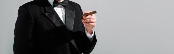 Panoramaaufnahme eines Mannes im Anzug mit Zigarre isoliert auf grau  - Foto, Bild