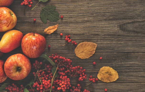 Autumn food border background with apples, pine cones, spices, berries and fallen leaves with copy space for text. Top view autumn food backdrop. - Photo, image