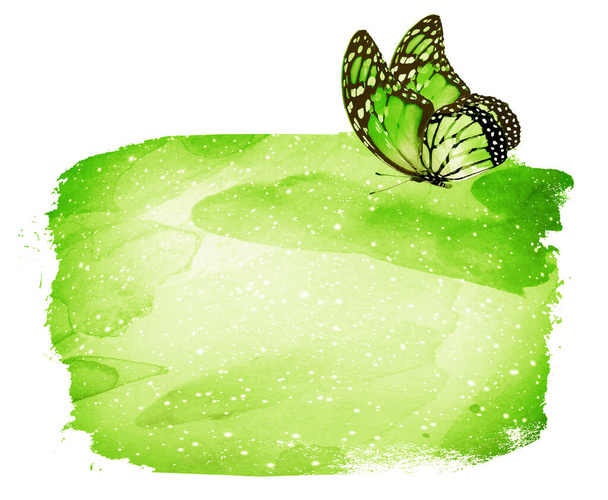 Watercolor background with butterfly on white - Photo, Image