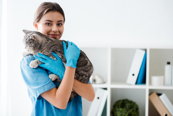 smiling veterinarian looking at camera while holding grey tabby cat on hands - Foto, Bild