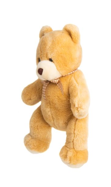 М'який іграшковий ведмідь ізольований
  - Фото, зображення