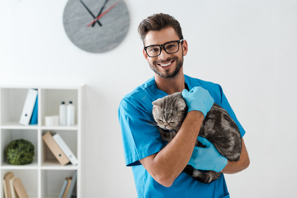 pohledný veterinární lékař se usmívá na kameru, zatímco drží tabby skotské rovné kočky na rukou - Fotografie, Obrázek