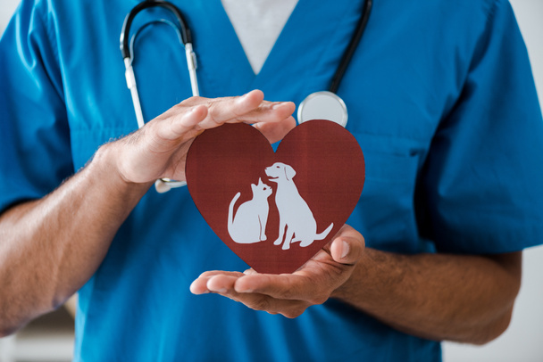 vista parcial del veterinario que muestra el corazón cortado en papel con símbolos de perro y gato, tiro panorámico
 - Foto, Imagen