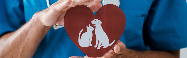 vista recortada de veterinario que muestra el corazón de papel cortado con símbolos de perro y gato, tiro panorámico
 - Foto, Imagen