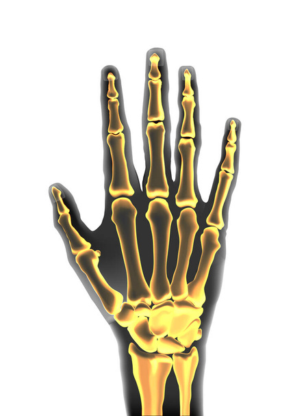 Scheletro della mano umana trasparente realistico nero e giallo
 - Vettoriali, immagini