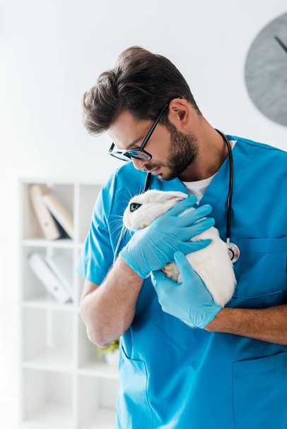 joven, guapo veterinario sosteniendo lindo conejo blanco en las manos
 - Foto, Imagen
