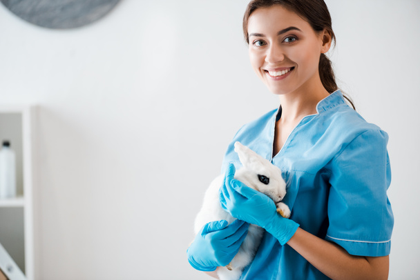красивый, улыбающийся ветеринар смотрит в камеру, держа на руках милого белого кролика
 - Фото, изображение