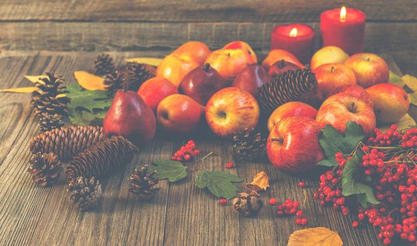 Thanksgiving still-life with cranberries, autumn leaves, apples and cones. Autumn Thanksgiving seasonal fruit. Nature background. Toned image, copy space. - Foto, imagen