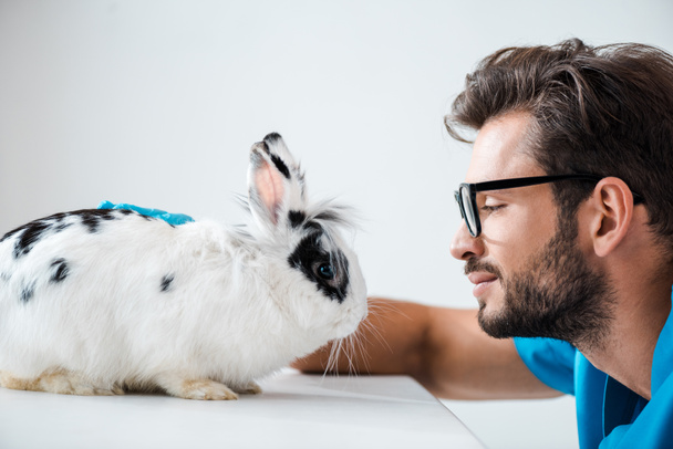 Seitenansicht des jungen, positiven Tierarztes beim Anblick des niedlichen, flauschigen Kaninchens - Foto, Bild