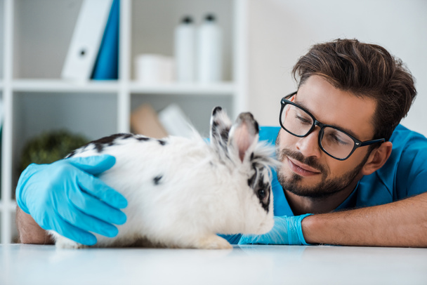 joven, veterinario positivo mirando lindo conejo moteado sentado en la mesa
 - Foto, imagen
