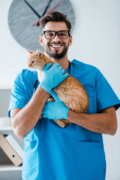 cheerful veterinarian looking at camera while holding red tabby cat on hands - 写真・画像