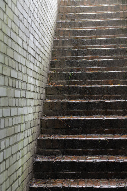 Stone stairs in an old German bunker - Photo, Image