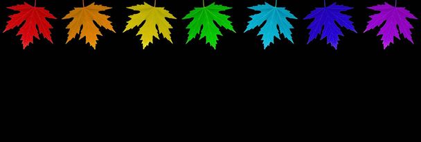 hojas aisladas de colores arcoiris 11
 - Foto, imagen