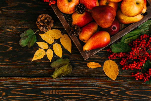 Thanksgiving still-life with cranberries, autumn leaves, apples and cones. Autumn Thanksgiving seasonal fruit. Nature background. Toned image, copy space. - Fotó, kép
