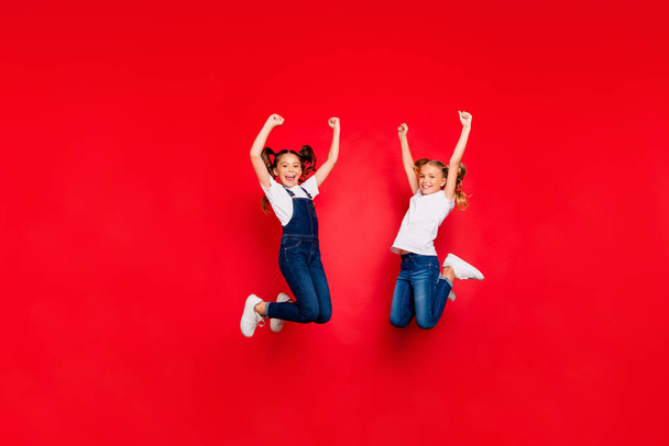 Full length photo of two ecstatic brown blonde hair girlfriends with tails jump win x-mas lottery raise fists scream yeah wear white t-shirt outfit isolated red color background - Zdjęcie, obraz