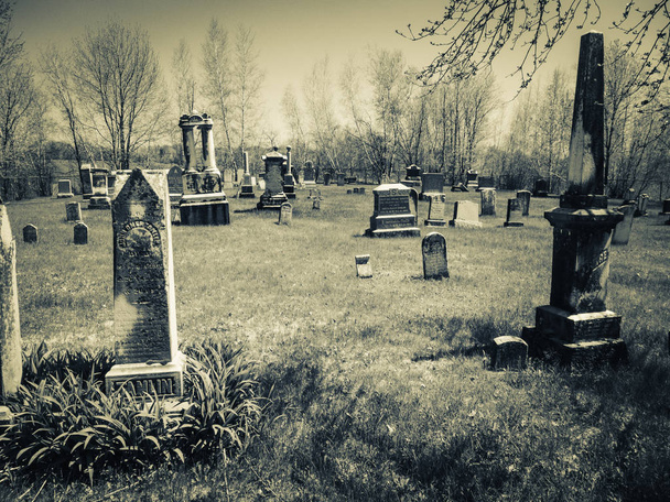This place is an old cemetery. - Photo, Image