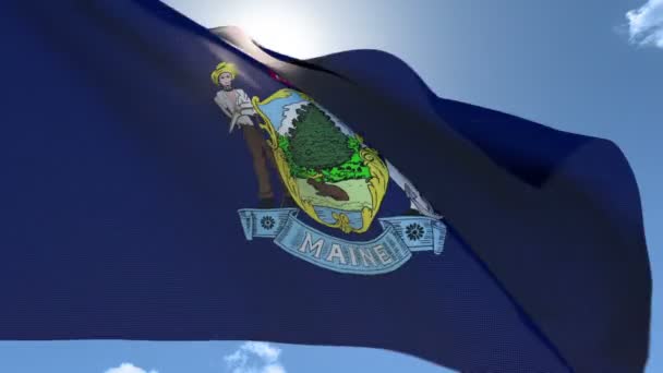 Zászló Maine integetett a szélben - Felvétel, videó
