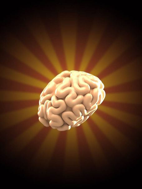 cerebro - Foto, imagen