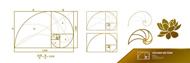 Golden ratio for creative design vector illustration. - Vector, Image