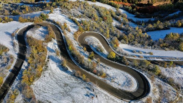 road and snowy trees aerial view, Catalonia, Spain - 写真・画像
