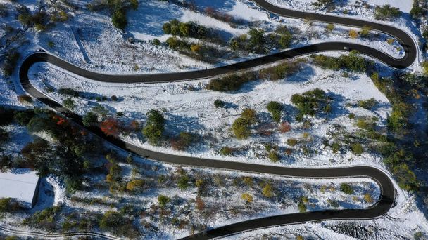road and snowy trees aerial view, Catalonia, Spain - 写真・画像