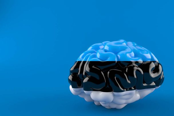 Brain with estonian flag - Photo, Image