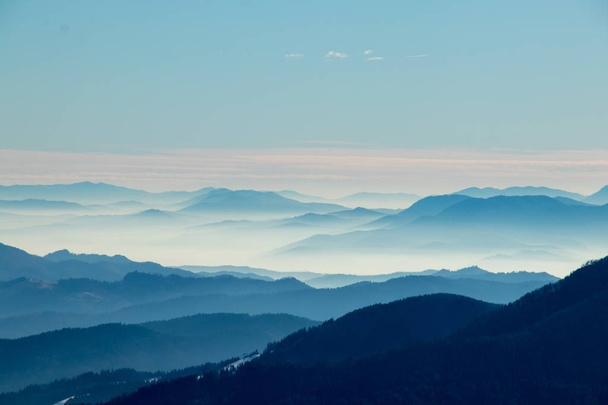 Poranna mgła w dolinie Bohinj - Zdjęcie, obraz