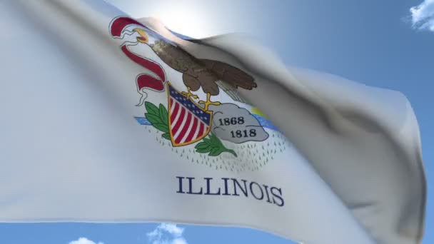 Flag of Illinois Waving in the Wind - Footage, Video