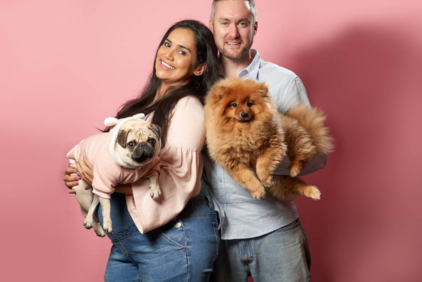 Smiling pregnant woman and man hold dogs on hands on pink background - Foto, Imagem