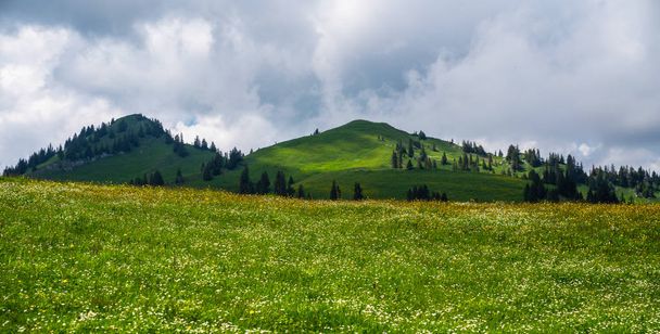 Panoramic view of idyllic mountain scenery in the Alps with fresh green meadows in bloom on a beautiful sunny day in springtime. Location place Swiss alps, Europe. Beauty world. - Photo, image
