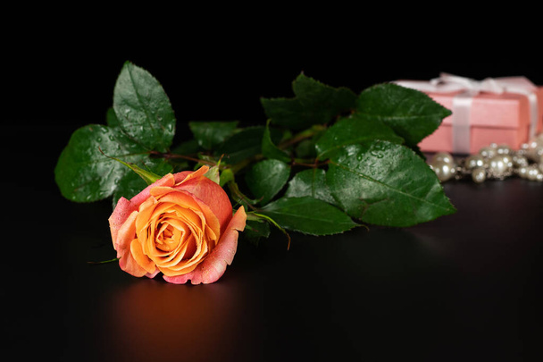 Uma fotografia de uma rosa em uma chave baixa
. - Foto, Imagem