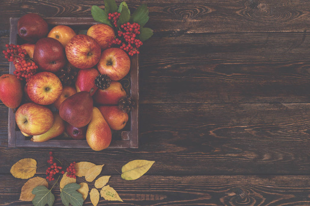 Autumn food background with apples, pine cones, spices, berries and fallen leaves with copy space for text. Autumn food backdrop. Selective focus. - Fotó, kép