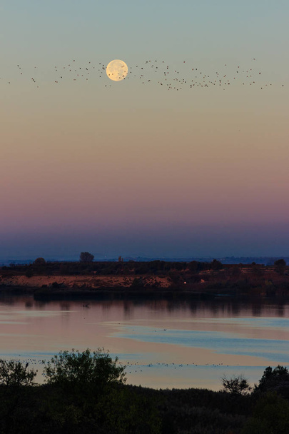 Der Mond thront am Morgenhimmel über dem See und spiegelt sich im Wasser des Sees. Vögel fliegen vor dem Mond - Foto, Bild