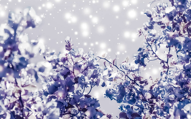 Navidad, Año Nuevo púrpura naturaleza floral fondo, vacaciones ca
 - Foto, imagen