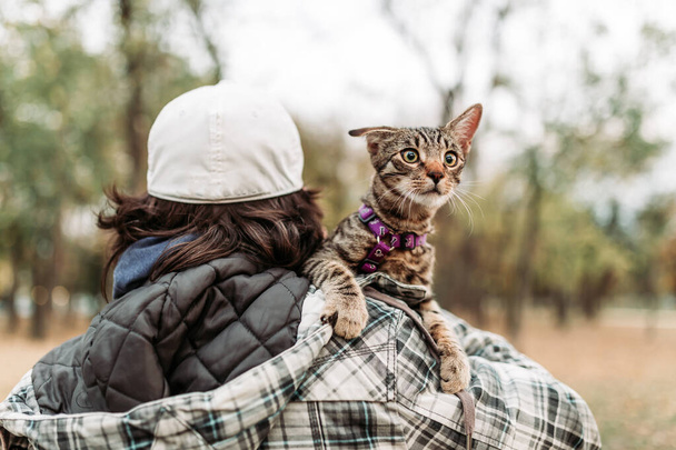 Ιδιοκτήτης κουβαλάει μια χαριτωμένη, νεαρή, ριγέ γάτα στον ώμο του.. - Φωτογραφία, εικόνα