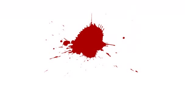 Verfplons. Red Paint Splatter. Spatpakje - Video