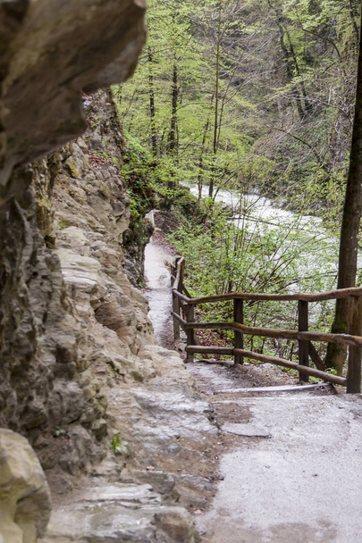 Ущелье Винтагр - Словения
. - Фото, изображение