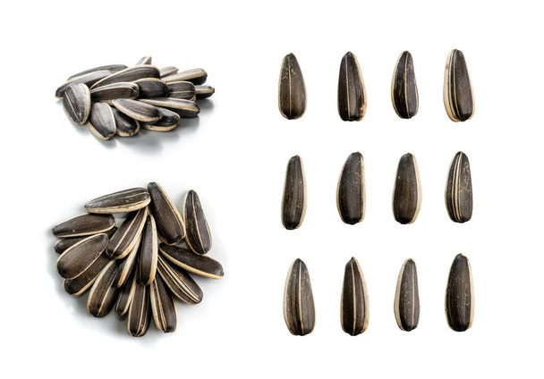 Pile de grosses graines de tournesol rayées avec coquille isolée
 - Photo, image