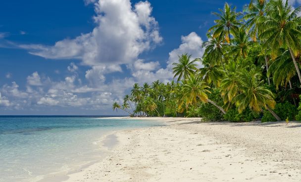 plaży na tropikalnej wyspie - Zdjęcie, obraz