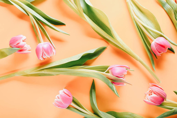 Hermosos tulipanes rosados sobre fondo naranja, vista superior
 - Foto, imagen