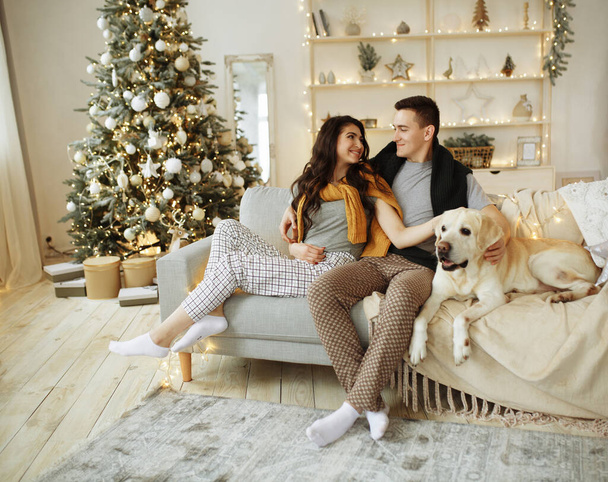 happy couple is sitting on sofa with dog, christmas. new year at home. family and date - Фото, изображение