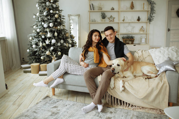 happy couple is sitting on sofa with dog, christmas. new year at home. family and date - Foto, Imagem