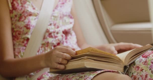 Ενθουσιαστικό κορίτσι ανάγνωση βιβλίο στο αυτοκίνητο στο ταξίδι - Πλάνα, βίντεο