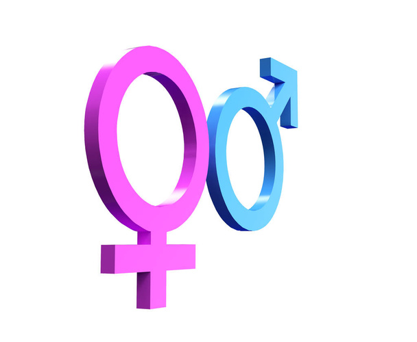 Female Male Gender Symbol Isolated. 3D rendering - Foto, imagen