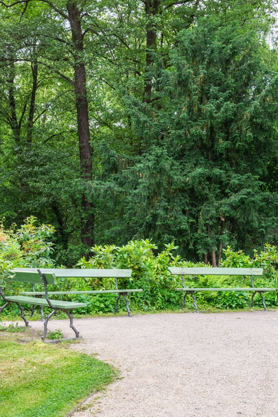 Wandeling door het Tiergarten park - Foto, afbeelding