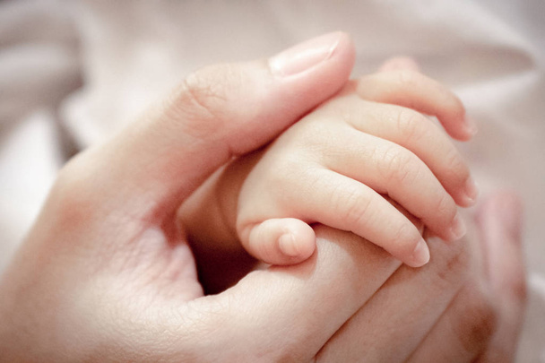 Nahaufnahme und selektiver Fokus auf die Finger des Neugeborenen mit der Hand seiner Mutter. - Foto, Bild