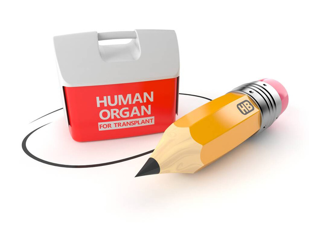 Enfriador para órgano humano con lápiz
 - Foto, imagen