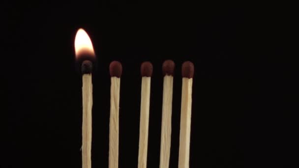 5 matches light up one by one and smoulder - Footage, Video